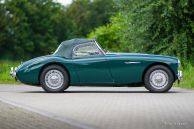 Austin Healey 100/4 BN1, 1955