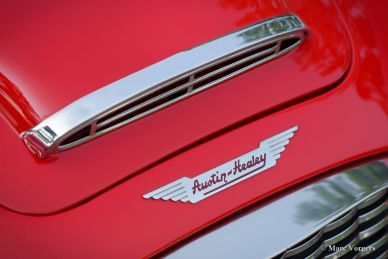 Austin Healey 100/6, 1959