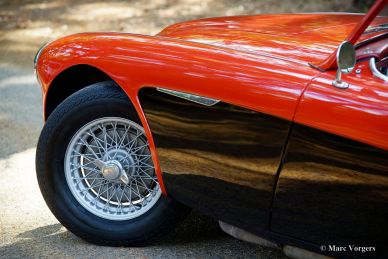 Austin Healey 100-SIX, 1959