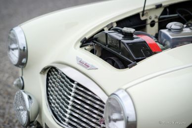 Austin Healey 100/6 ‘two-seater’, 1959