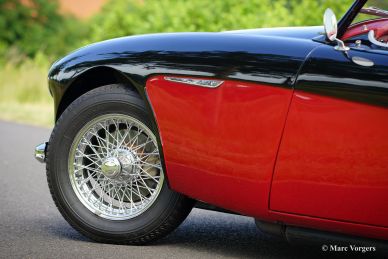 Austin Healey 3000 Mk I, 1959