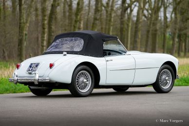 Swallow Doretti roadster, 1955