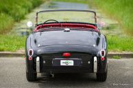 Triumph TR 2 ‘long door’, 1954