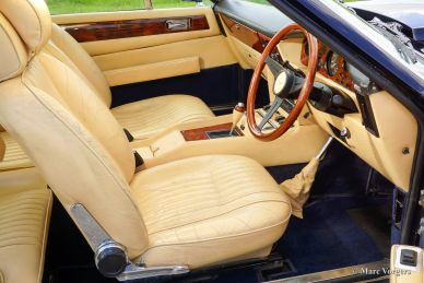 Aston Martin V8, 1980