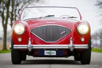 Austin Healey 100/4 BN2, 1956