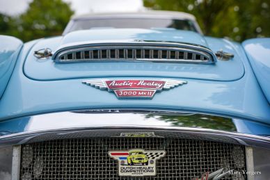 Austin Healey 3000 MK II A Rally Car, 1964