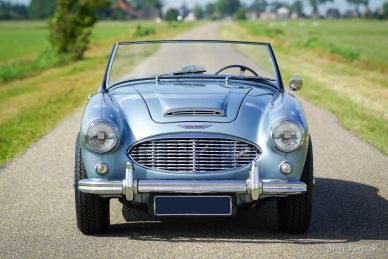 'THE BIG HEALEYS' - BOOK - Nikas & Vorgers