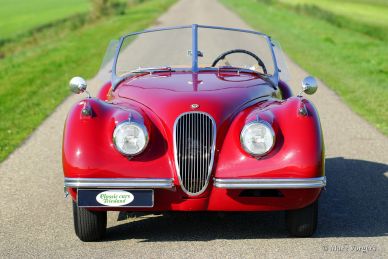 Jaguar XK 120 OTS, 1954