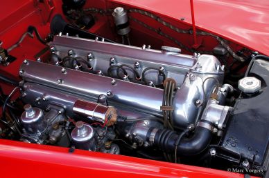 Jaguar XK 120 DHC, 1954