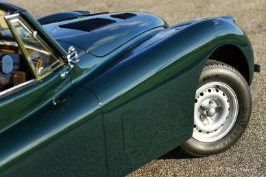 Jaguar XK 120 DHC, 1954