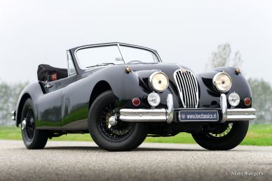 Jaguar XK 140 SE DHC, 1955