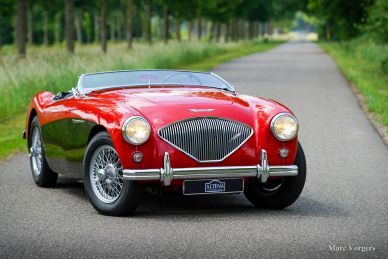 Austin Healey 100/4, 1954