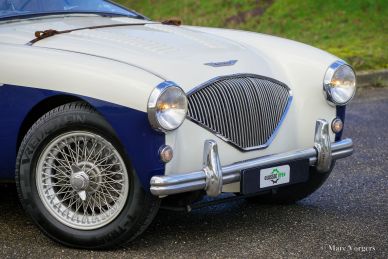 Austin Healey 100/4 BN2, 1955