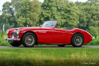 Austin Healey 100/6, 1959