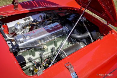 Austin Healey 100/M ‘Le Mans’, 1955