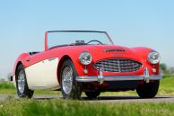 Austin Healey 100/6, 1959