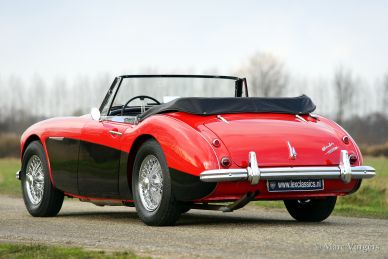 Austin Healey 3000 Mk IIa, 1964