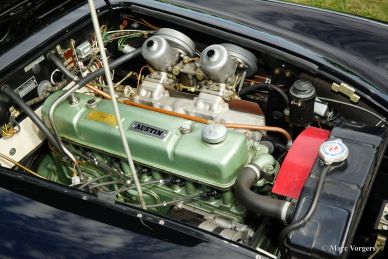 Austin Healey 3000 Mk I, 1959