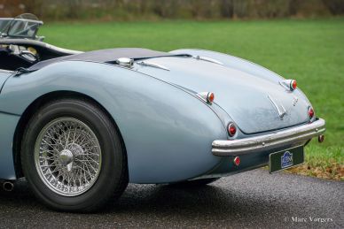 Austin Healey 100/4 BN1, 1955