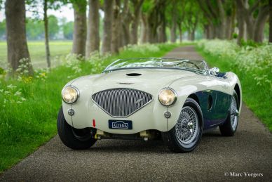 Austin Healey 100/4 BN1, 1953