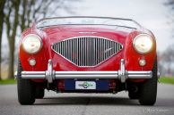 Austin Healey 100/4 BN2, 1956
