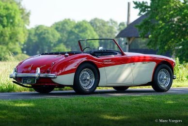Austin Healey 100/6, 1959