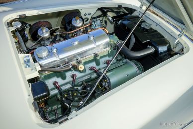 Austin Healey 100/4 BN1, 1955
