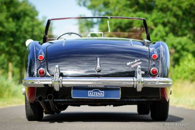 Austin Healey 3000 Mk I, 1959