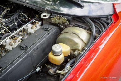 Ferrari 365 GTC/4, 1972