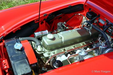 Austin Healey 100/6, 1959