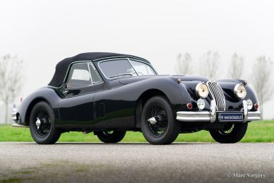 Jaguar XK 140 SE DHC, 1955