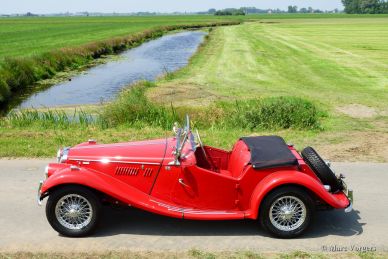 MG TF 1250, 1954