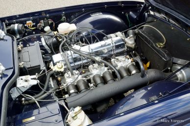 Triumph TR 6 PI, 1971