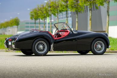 Triumph TR 2 ‘long door’, 1954