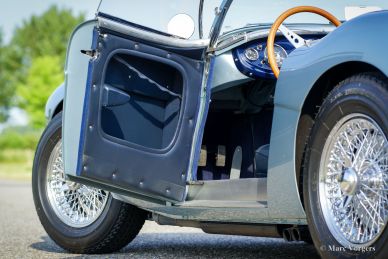Austin Healey 100/4 (BN1), 1954