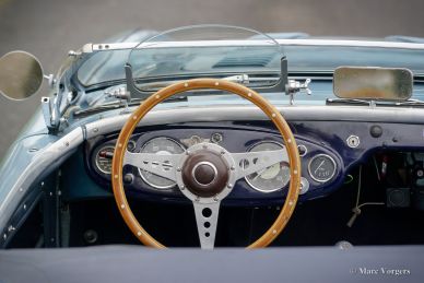Austin Healey 100/4 BN1, 1955