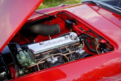 Austin Healey 100/4, 1954