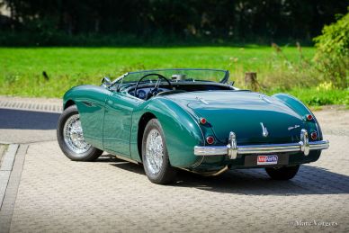 Austin Healey 100/4 BN1, 1955