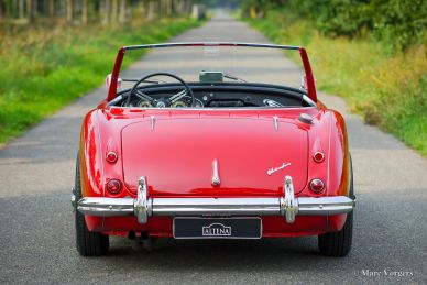 Austin Healey 100/6, 1959