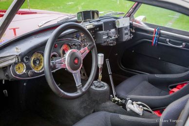 Austin Healey 100/6 Rally Car, 1958