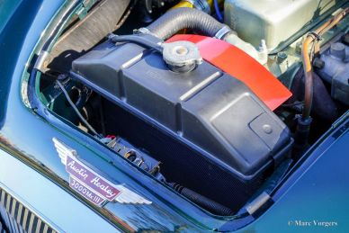 Austin Healey 3000 MK III Phase 2, 1965