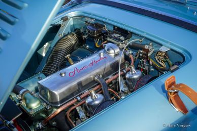 Austin Healey 100/4 BN2, 1956