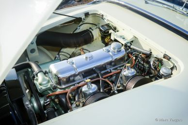 Austin Healey 100/4 BN1, 1955