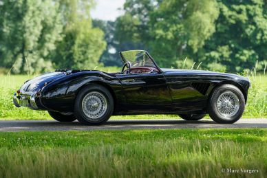 Austin Healey 3000 Mk II, 1959