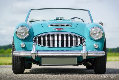 'THE BIG HEALEYS' - BOOK - Nikas & Vorgers