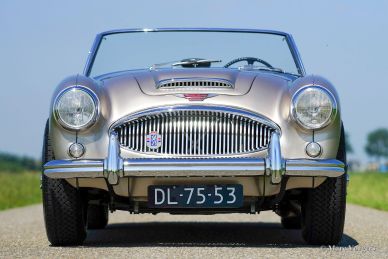 'THE BIG HEALEYS' - BOOK - Nikas & Vorgers