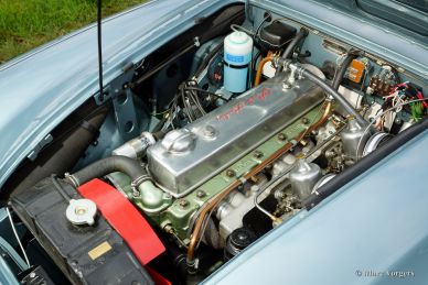 Austin Healey 100/6, 1958