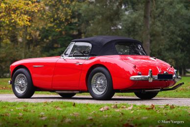 Austin Healey 3000 Mk III, 1964