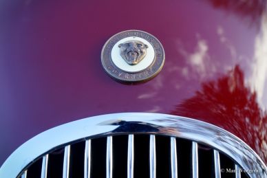 Jaguar XK 120 DHC, 1953