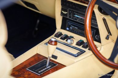 Aston Martin V8, 1980